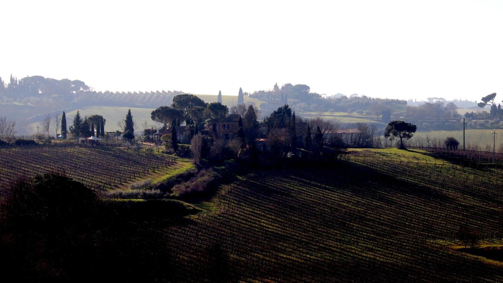 Agriturismo La Terra Valiano Exteriér fotografie