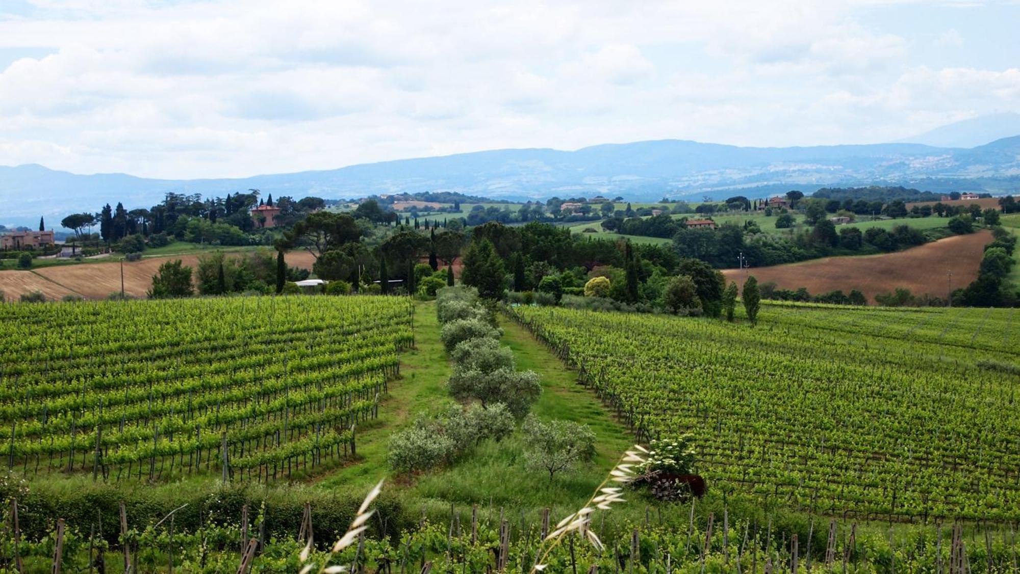 Agriturismo La Terra Valiano Exteriér fotografie