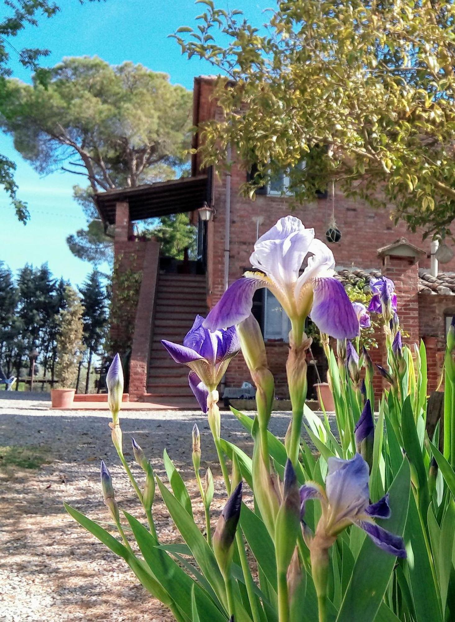 Agriturismo La Terra Valiano Exteriér fotografie