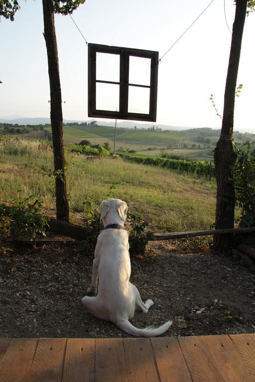 Agriturismo La Terra Valiano Exteriér fotografie